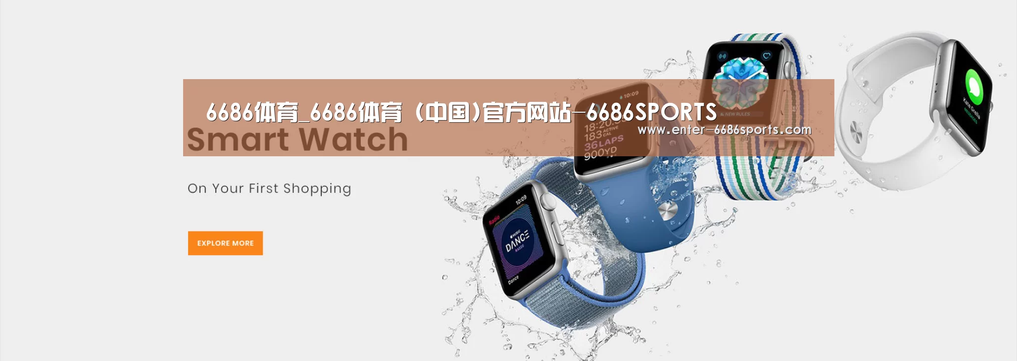 某某网络科技有限公司